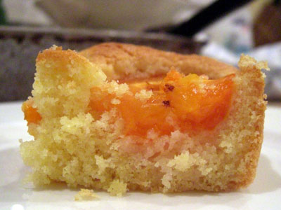 marillenkuchen.jpg
